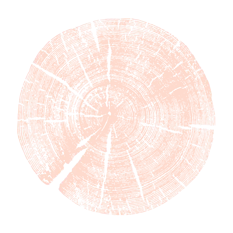 Grafisches Element warmrose Baumringe Querschnitt